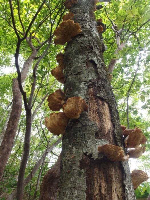 十方山登山_c0116915_1273163.jpg