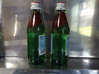コーレーグース の ん び り ゆ っ た り コーレーグース の ん び り ゆ っ た り