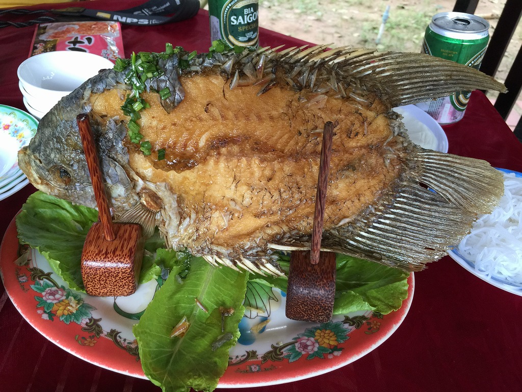 エレファントフィッシュ ｉｒｏｎのブレブレ写真館