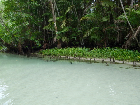 d0150727_18141692.jpg