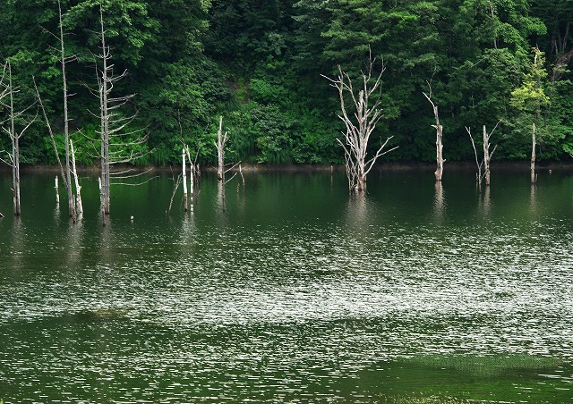 2015/夏の北海道撮影記_c0132230_1024248.jpg