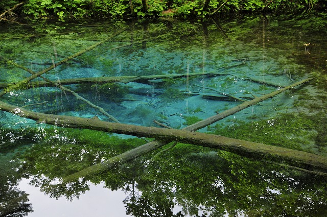 2015/夏の北海道撮影記_c0132230_10305268.jpg