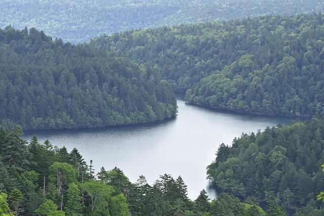 2015/夏の北海道撮影記_c0132230_10345.jpg