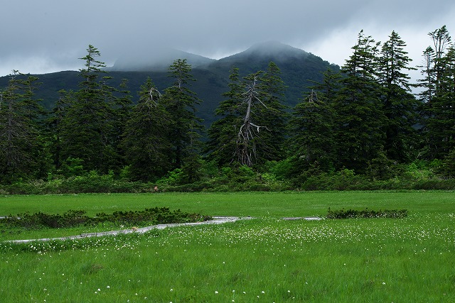 2015/夏の北海道撮影記_c0132230_9204475.jpg