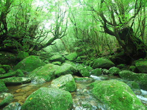 夏休みぶろぐ _b0181732_16425566.jpeg