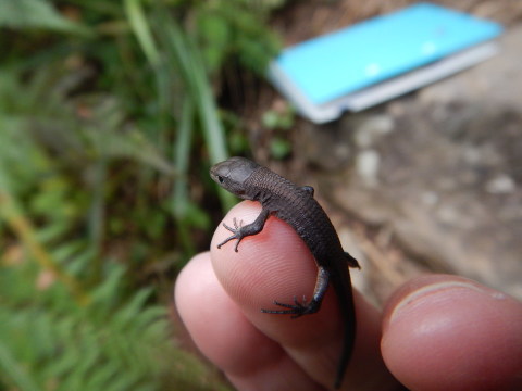 f0118332_11201040.jpg