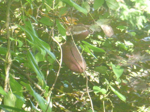 b0246036_1704768.jpg