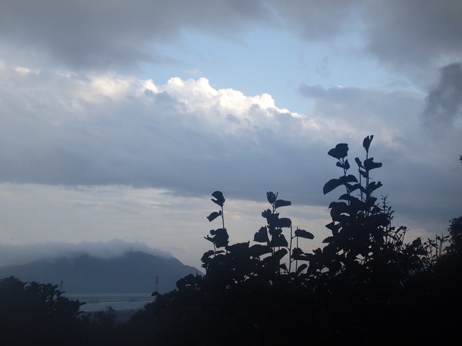 a0054240_2111541.jpg