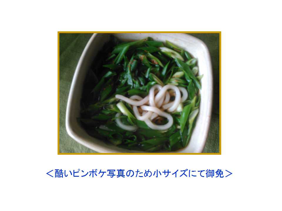 ６０１．初秋の「ネギうどん」とメールアドレスの件_a0054043_14495139.jpg