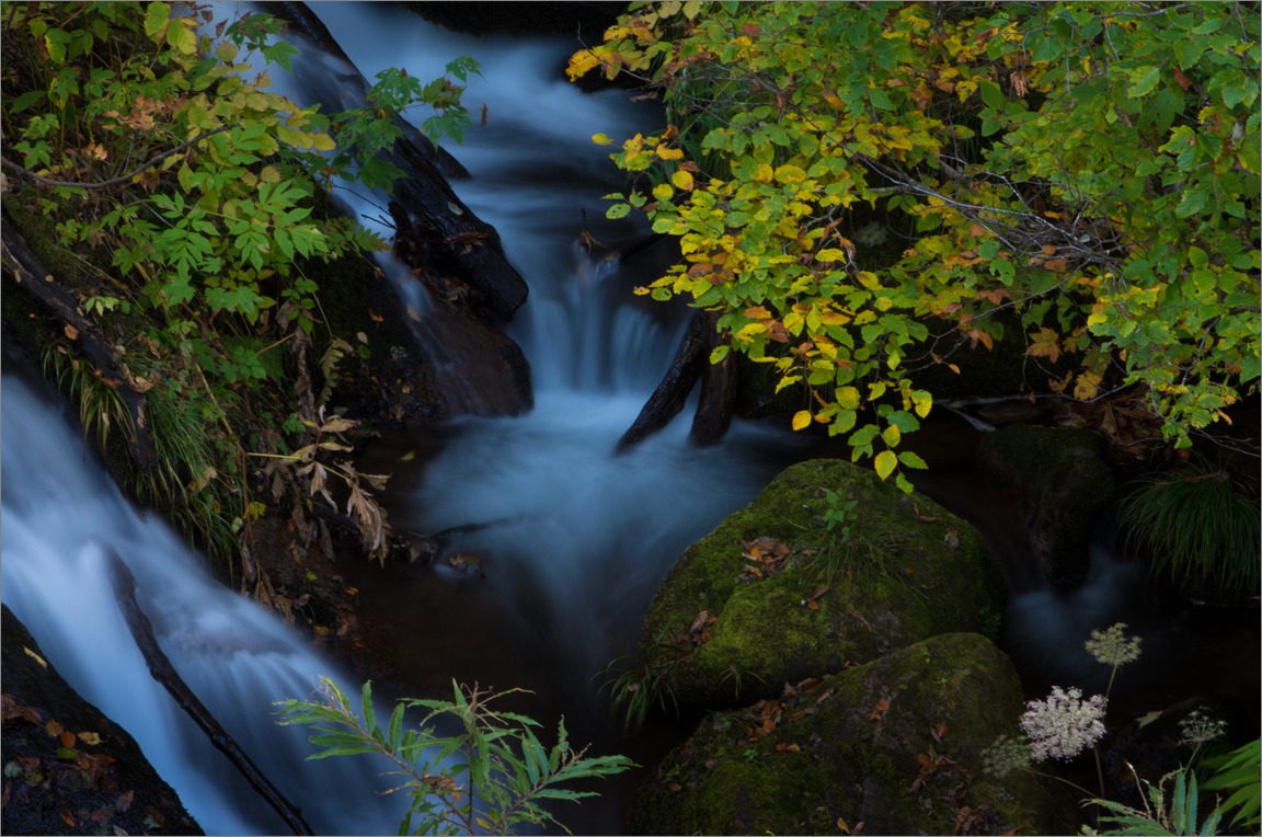 d0058445_23294481.jpg