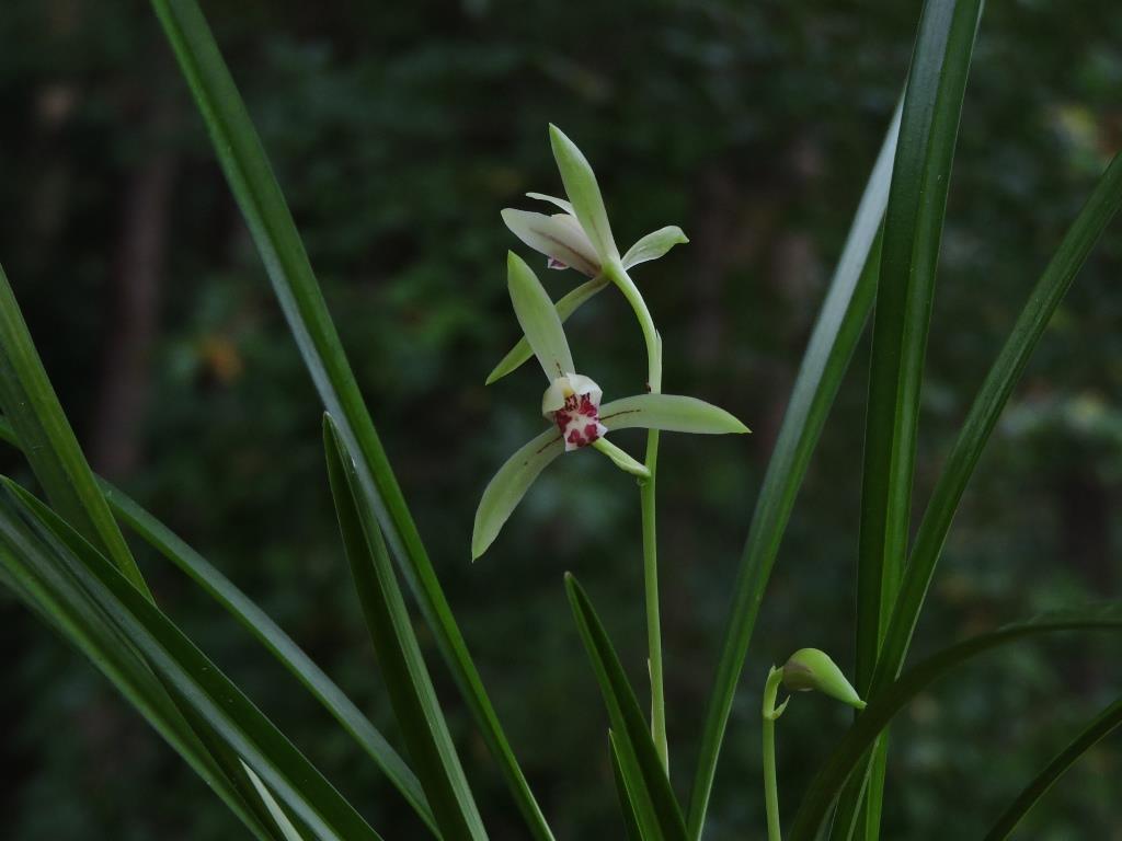 植え替え時_f0043750_13133371.jpg