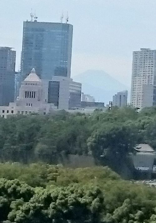 d0204154_1743996.jpg