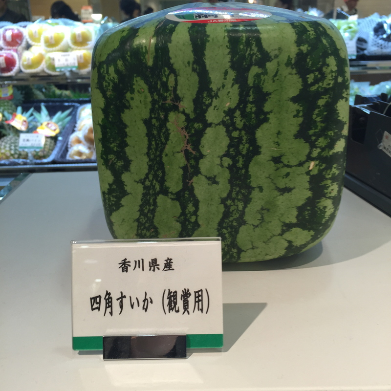 肺塞栓症診断のベストプラクティス6か条:ACPガイドライン委員会のアドバイス_a0119856_21532444.jpg