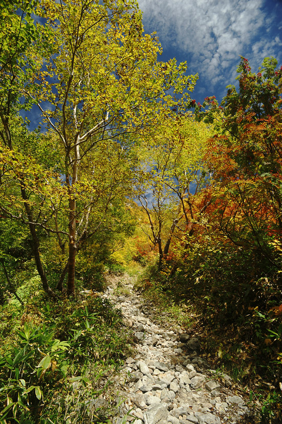 錦秋絶景山歩♪　東・西鎌尾根から笠ヶ岳　3泊4日　(1)_f0016656_2214546.jpg