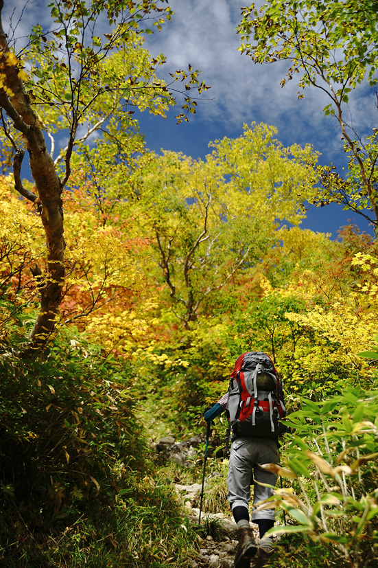 錦秋絶景山歩♪　東・西鎌尾根から笠ヶ岳　3泊4日　(1)_f0016656_22152668.jpg