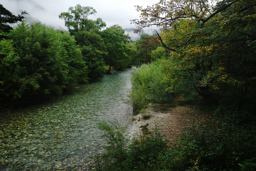 錦秋絶景山歩♪　東・西鎌尾根から笠ヶ岳　3泊4日　(1)_f0016656_228653.jpg