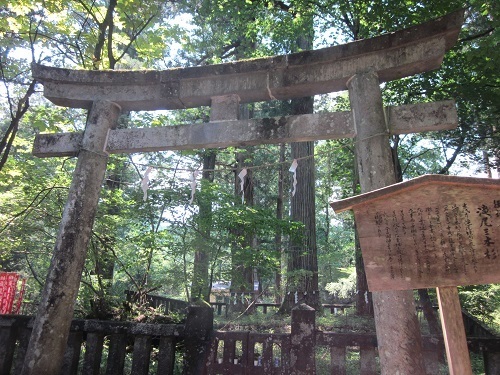 日光東照宮と二荒山神社本社・滝尾神社・中社_a0064067_21594083.jpg