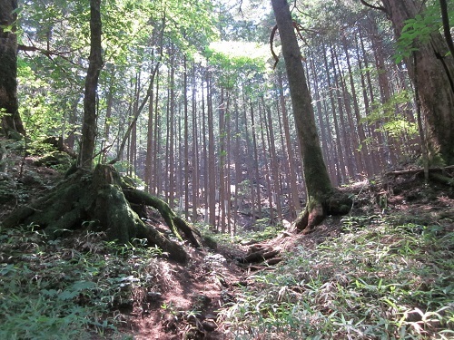 日光東照宮と二荒山神社本社・滝尾神社・中社_a0064067_21594898.jpg