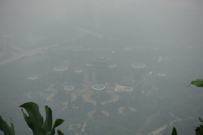 d0193569_12535237.jpg