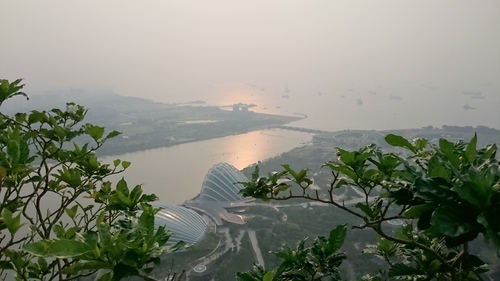 d0193569_125834.jpg