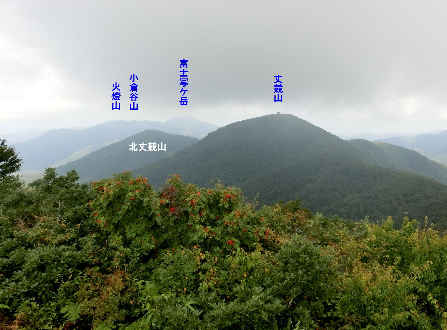 b0185573_17232859.jpg