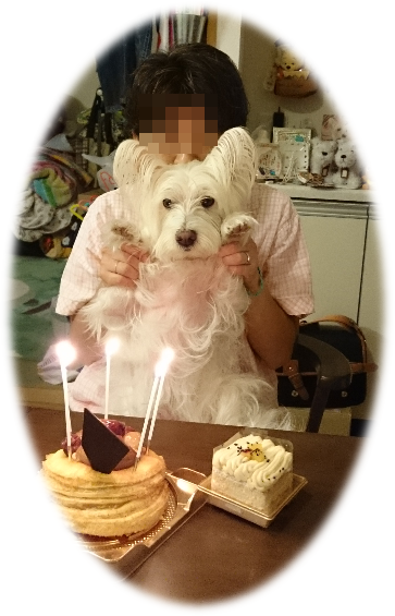 b0242873_00483893.png