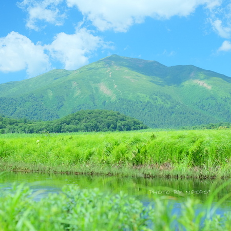 ぼくらの夏休み.6_a0284381_2252089.jpg