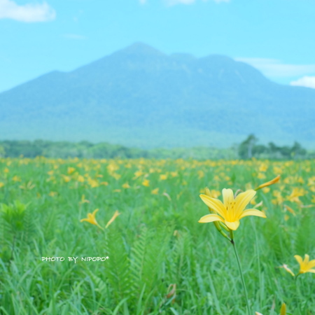 ぼくらの夏休み.6_a0284381_22592758.jpg