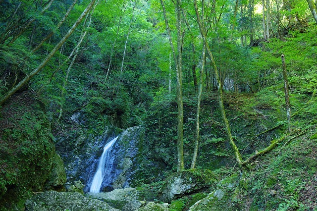 c0324983_23180177.jpg