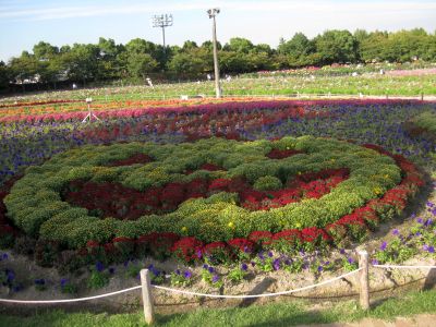 なばなの里へコスモスとダリアを見に行きした（9月30日）_d0021786_68437.jpg