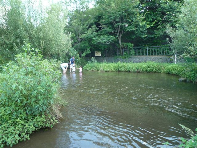 落合川の湧水と水辺散歩♪竹林公園は蚊がすごかった！　in　東久留米_b0287088_16373585.jpg