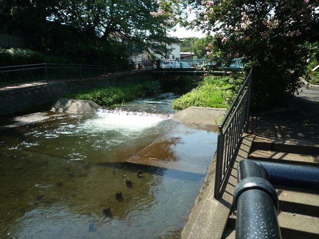 落合川の湧水と水辺散歩♪竹林公園は蚊がすごかった！　in　東久留米_b0287088_17033660.jpg