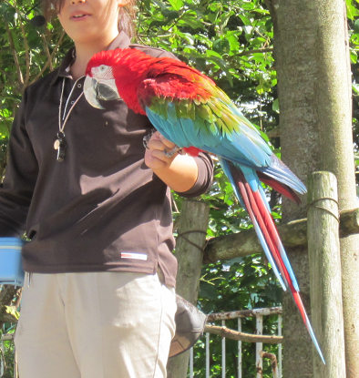 f0234590_11132668.png