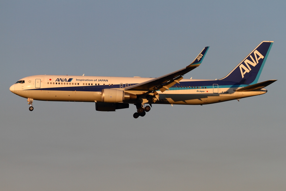 2015成田遠征1日目　その4　ANA B767-300ER_e0204891_1638832.jpg