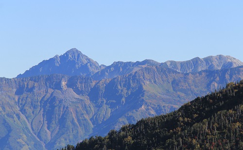 a0158702_1383144.jpg