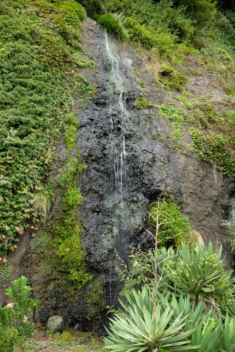 b0215304_23262151.jpg