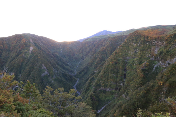 d0334006_11560162.jpg