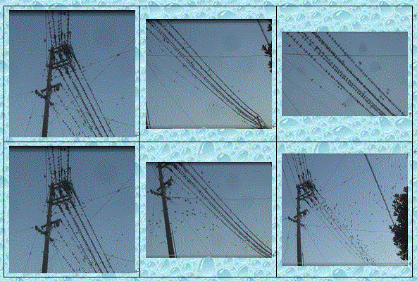f0231709_20443776.gif