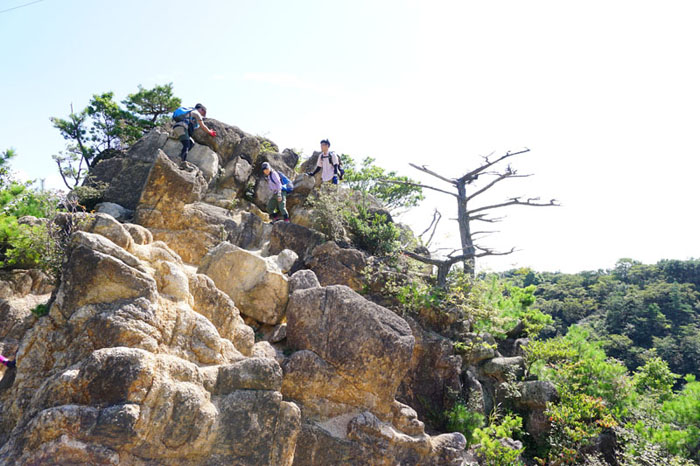 六甲山、地獄谷ルート(^o^)／_e0077010_22243455.jpg