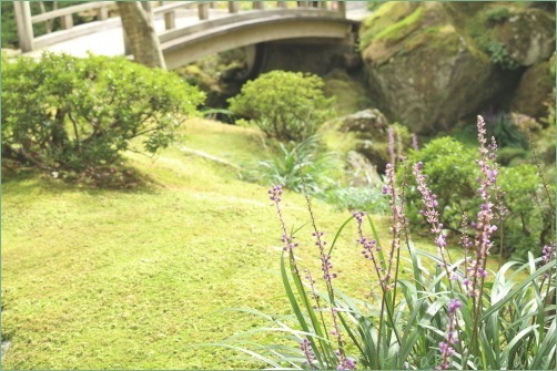 箱根の秋を楽しんできました_f0354014_10040356.jpg