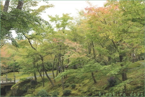 箱根の秋を楽しんできました_f0354014_10054260.jpg