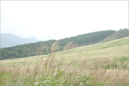 箱根の秋を楽しんできました_f0354014_10064205.jpg