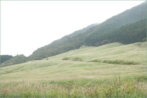 箱根の秋を楽しんできました_f0354014_10064228.jpg