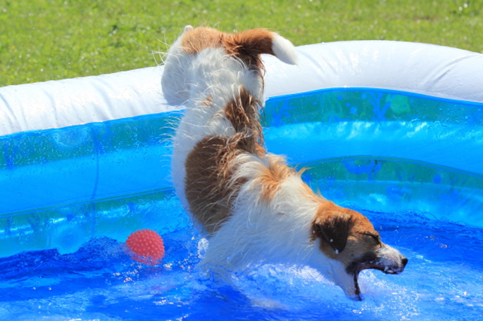 夏のキャンペーン結果発表③まだまだすてきな夏ショットにご注目！_f0357923_18122473.jpg