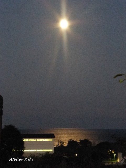 f0240834_2238968.jpg