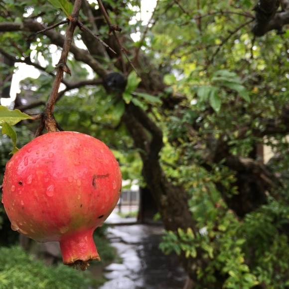 b0236351_16543070.jpeg