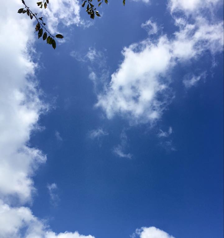 c0115560_16424533.jpg