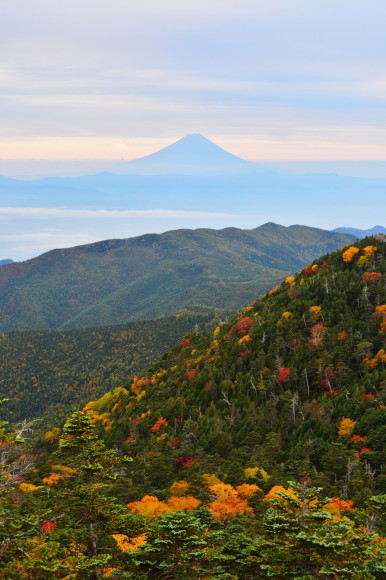 国師ヶ岳、紅葉と富士山_a0307264_11410852.jpg