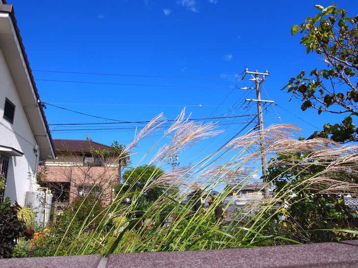 b0194267_13432222.jpg