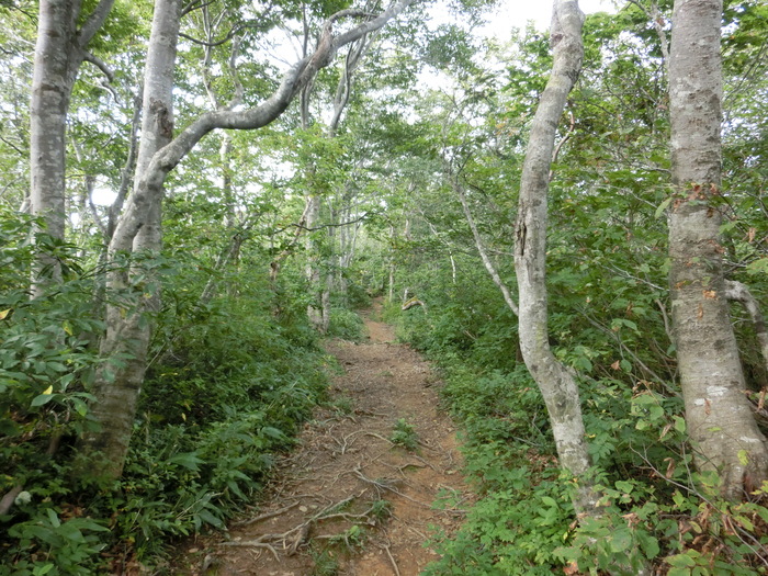 b0185573_10564251.jpg